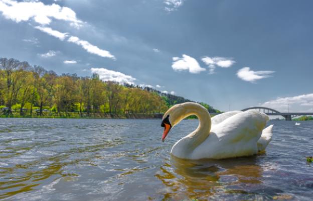 BARLO CUP 35+ fotogaléria obrázok 10